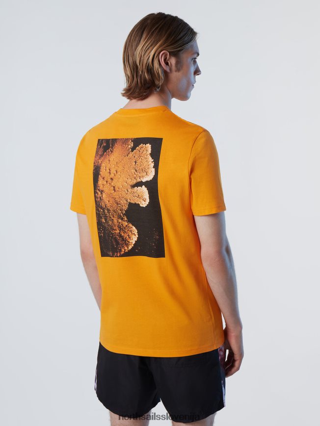 moški North Sails svetel ognjič majica koralnih vrtnarjev oblačila ZBDXNV132